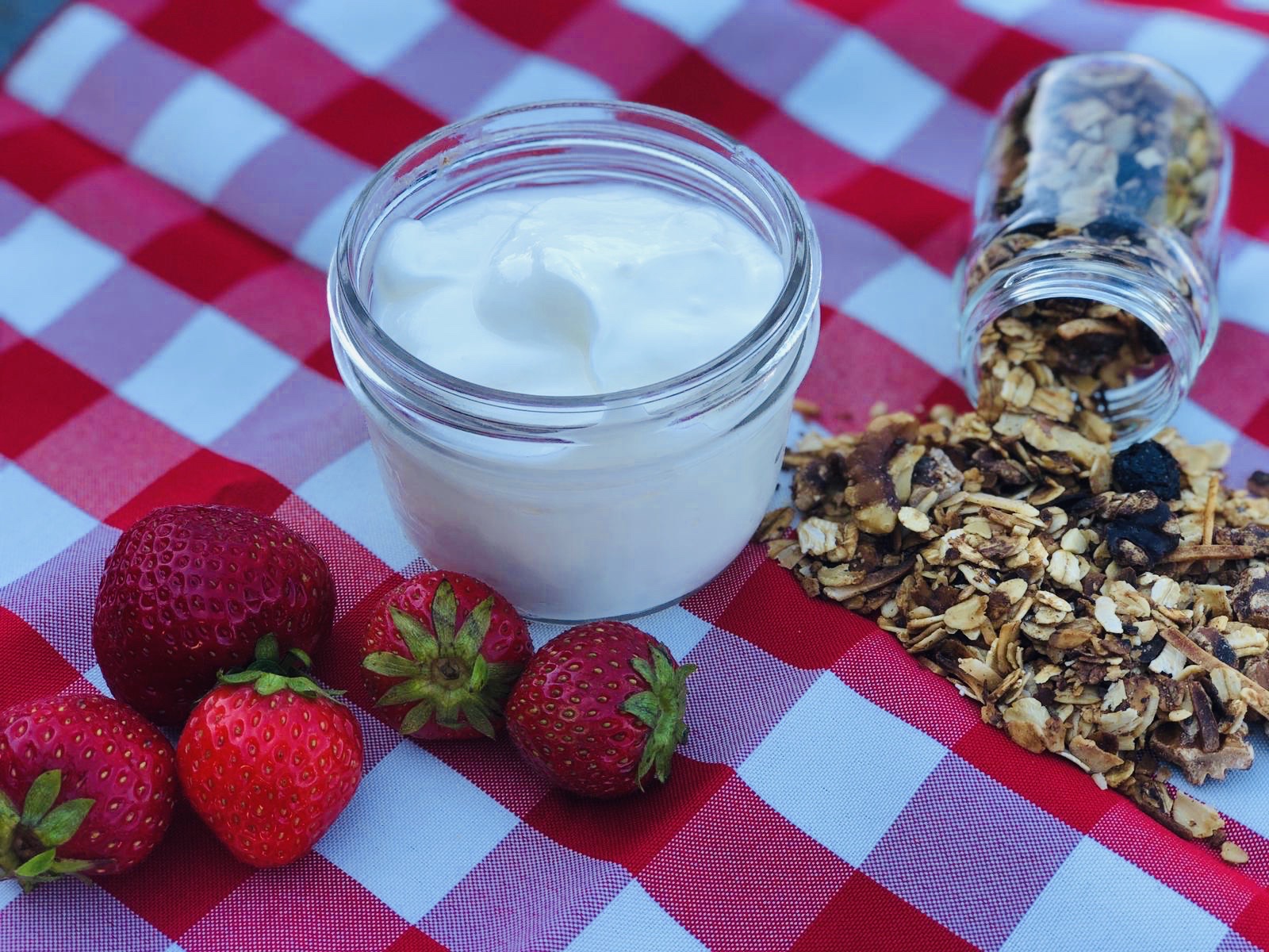 Easy Homemade Yogurt by Rebeka Boxer|@mrskosherguru